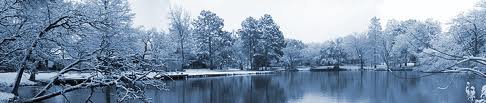 winter beauty winter beauty