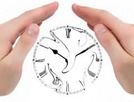 bending time 3 bending time 3