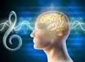 harmonic brain harmonic brain