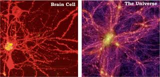 galaxy-cells galaxy-cells