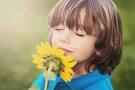 sniff the flowers sniff the flowers